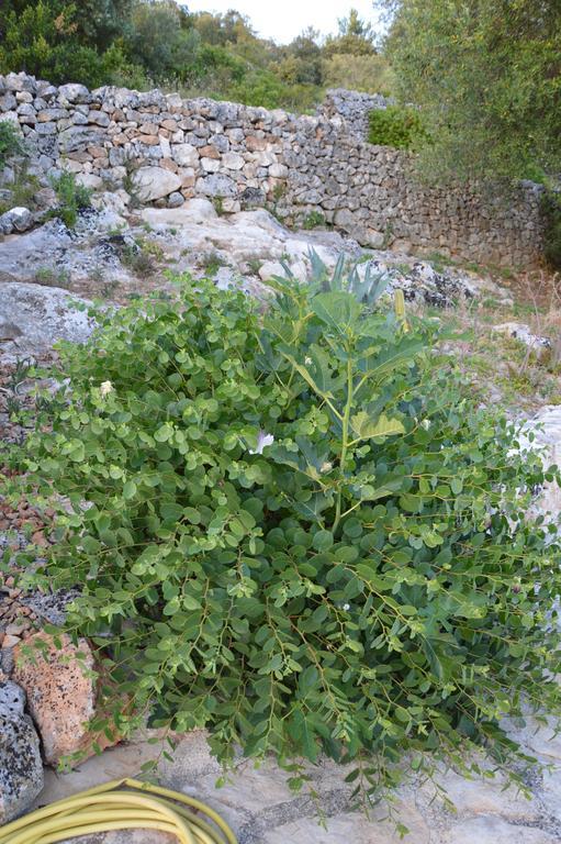 Vivere Ostuni Luaran gambar