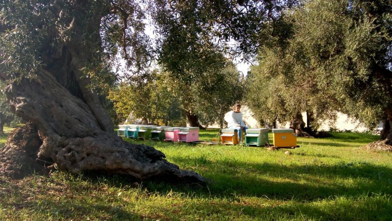 Vivere Ostuni Luaran gambar